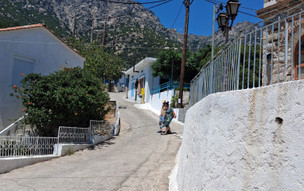 Hotel Anthemis