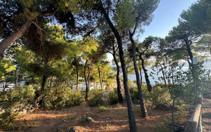Marpunta Resort