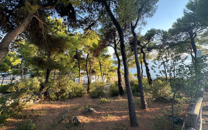 Marpunta Resort