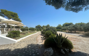 Marpunta Resort