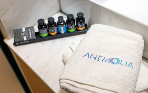 Anemolia Hotel