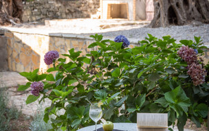 Sivota Gardens