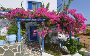 Pelagia Beach studios