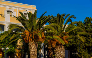 Crithoni's Paradise Hotel