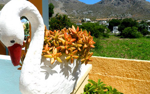 Papafotis Apartments & Suites
