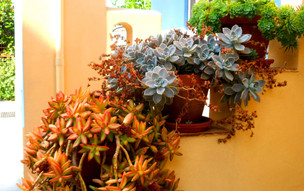 Papafotis Apartments & Suites
