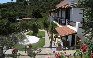 Irida