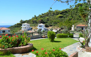 Irida