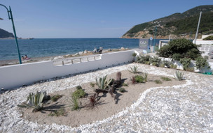 Olia Green Residence