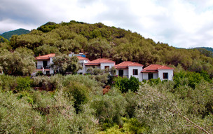 Kastri