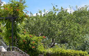 Aegean Suites