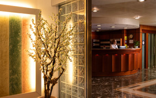 Hotel Mediterranee