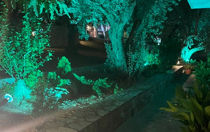 Panos