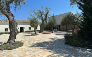 Olivar Suites