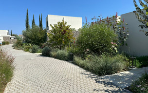 Olivar Suites