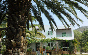 Pegasus Studios and Apartments