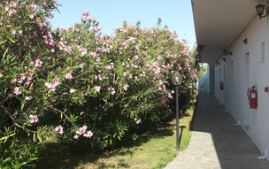 Aegeon Hotel