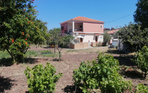 Vassilis Studios