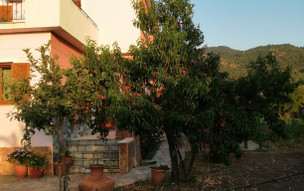 Vassilis Studios