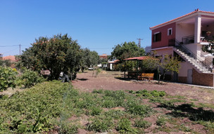 Vassilis Studios