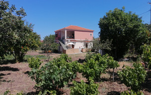 Vassilis Studios