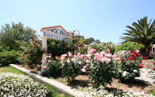 Hotel Alma