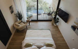 Five Olive Dream Trip
