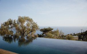 Five Olive Dream Trip