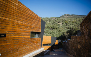 Five Olive Dream Trip