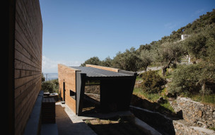 Five Olive Dream Trip