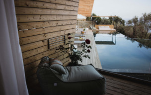 Five Olive Dream Trip