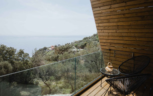 Five Olive Dream Trip