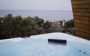 Five Olive Dream Trip
