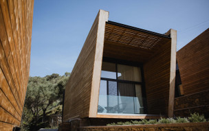 Five Olive Dream Trip
