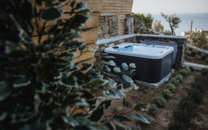 Five Olive Dream Trip