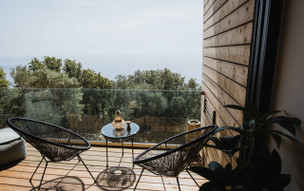 Five Olive Dream Trip