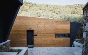 Five Olive Dream Trip