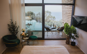 Five Olive Dream Trip