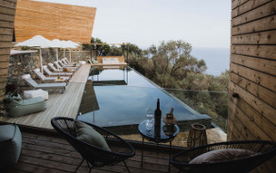 Five Olive Dream Trip