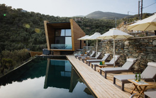 Five Olive Dream Trip