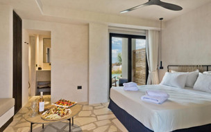 Double room swim-up 