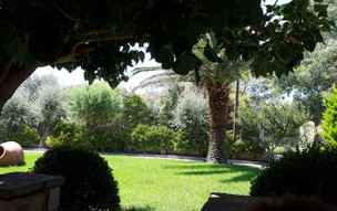 Hotel Platy Beach