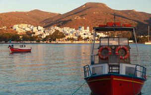 Xilokeratidi