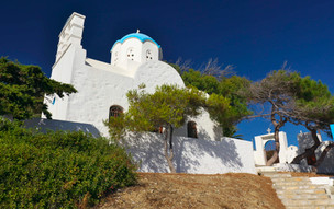 Xilokeratidi