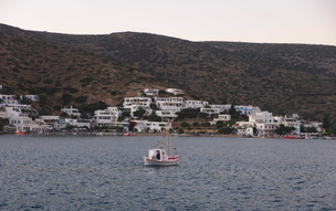 Xilokeratidi