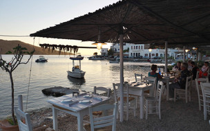 Xilokeratidi