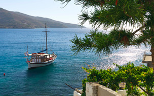 Xilokeratidi
