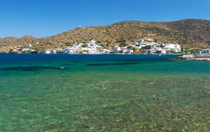 Xilokeratidi