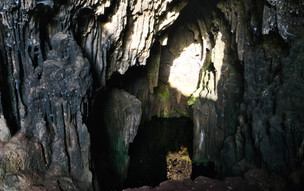 Drakontospilio