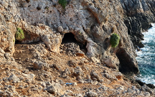 Drakontospilio